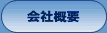 ЊTv